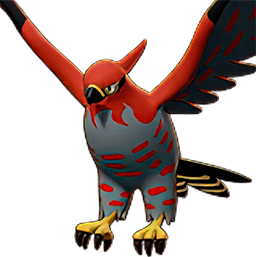 Best Talonflame Builds