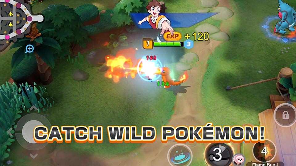 Catch wild Pokemon.